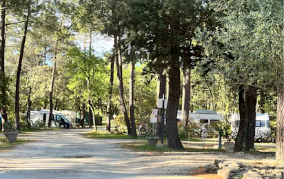 Camping La Simioune