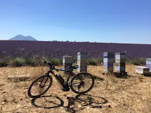 Fahrrad auf trockenem Boden vor mehreren Bienenstöcken, im Hintergrund Hügel und ein Berg, im Freien.