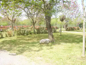 Grüner Campingplatz mit Rasenfläche, mehreren Bäumen und Hecken im Hintergrund, daneben ein großer Stein am Weg.