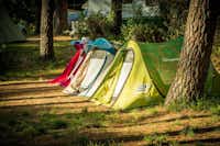 Camping La Sousta -