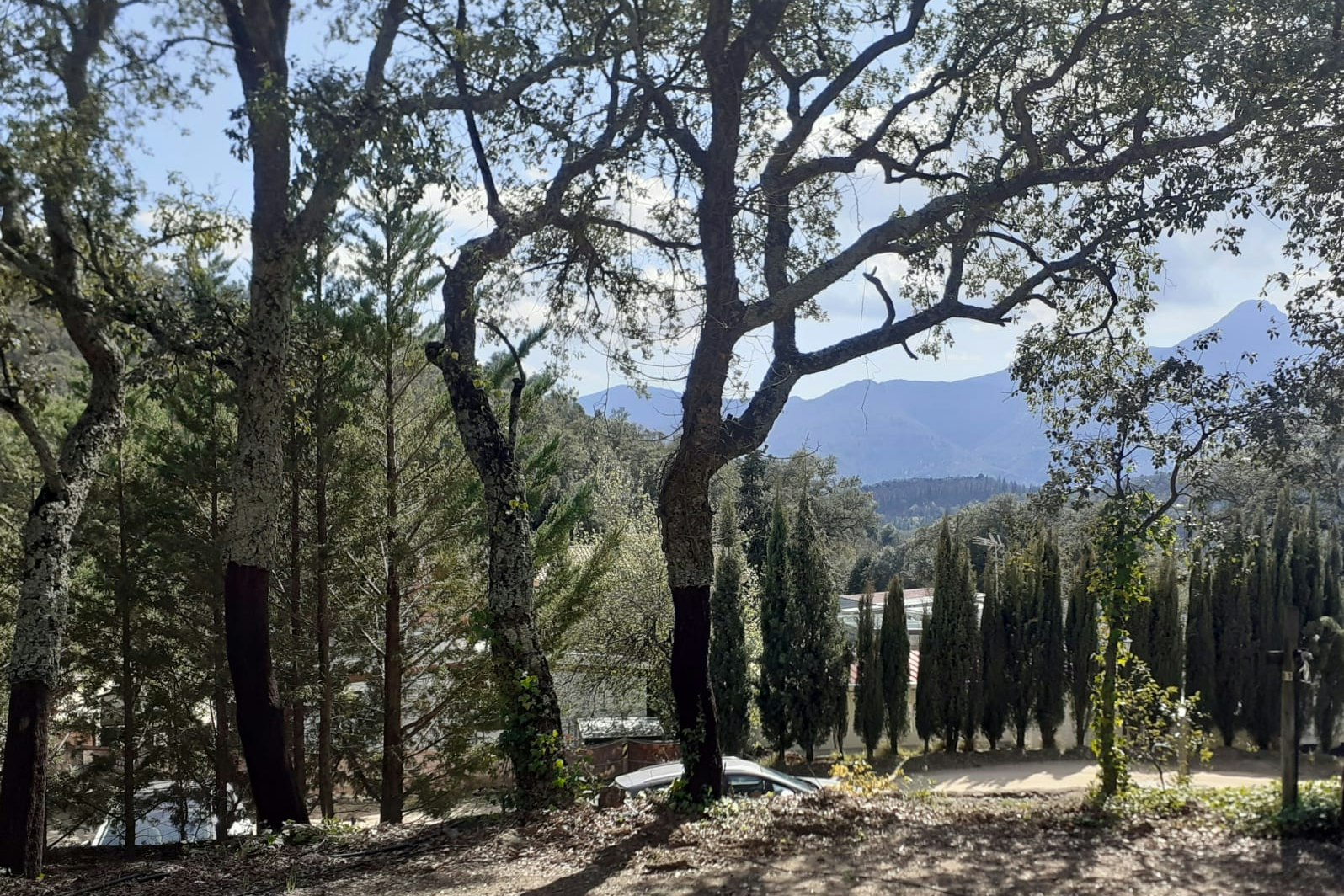 Càmping La Sureda - Blick auf den Campingplatz