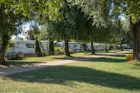TCS Camping La Tène Neuenburgersee - Standplätze teilweise im Halbschatten unter Bäumen am Rand des Campingplatzes