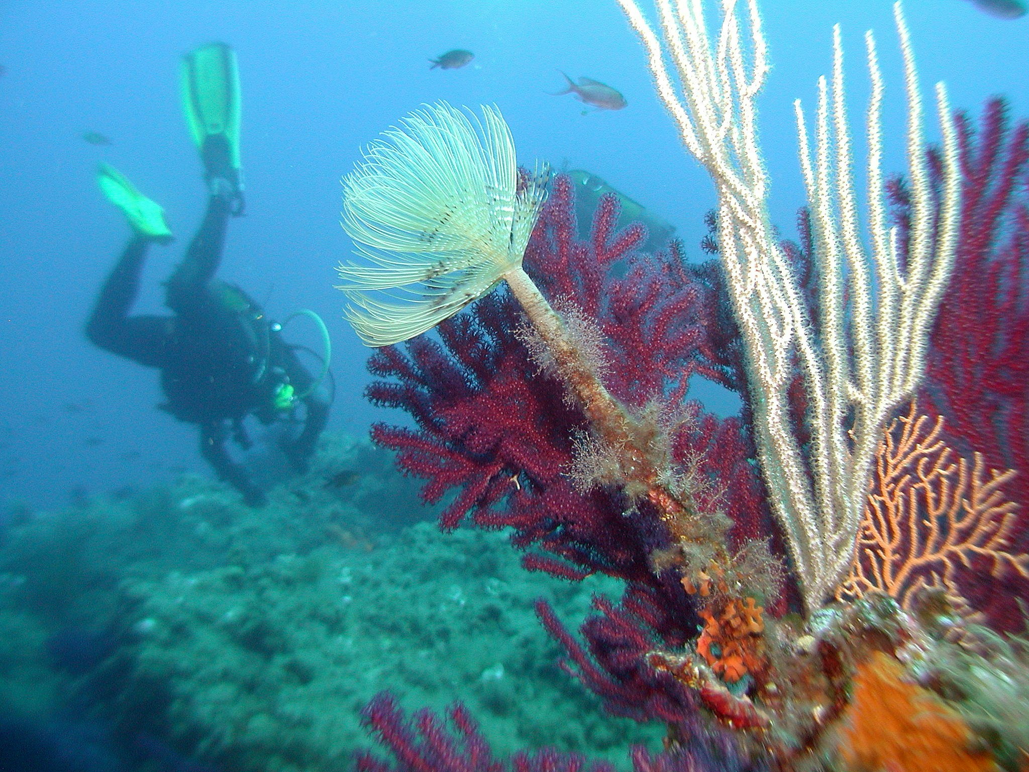 Camping La Tour Fondue