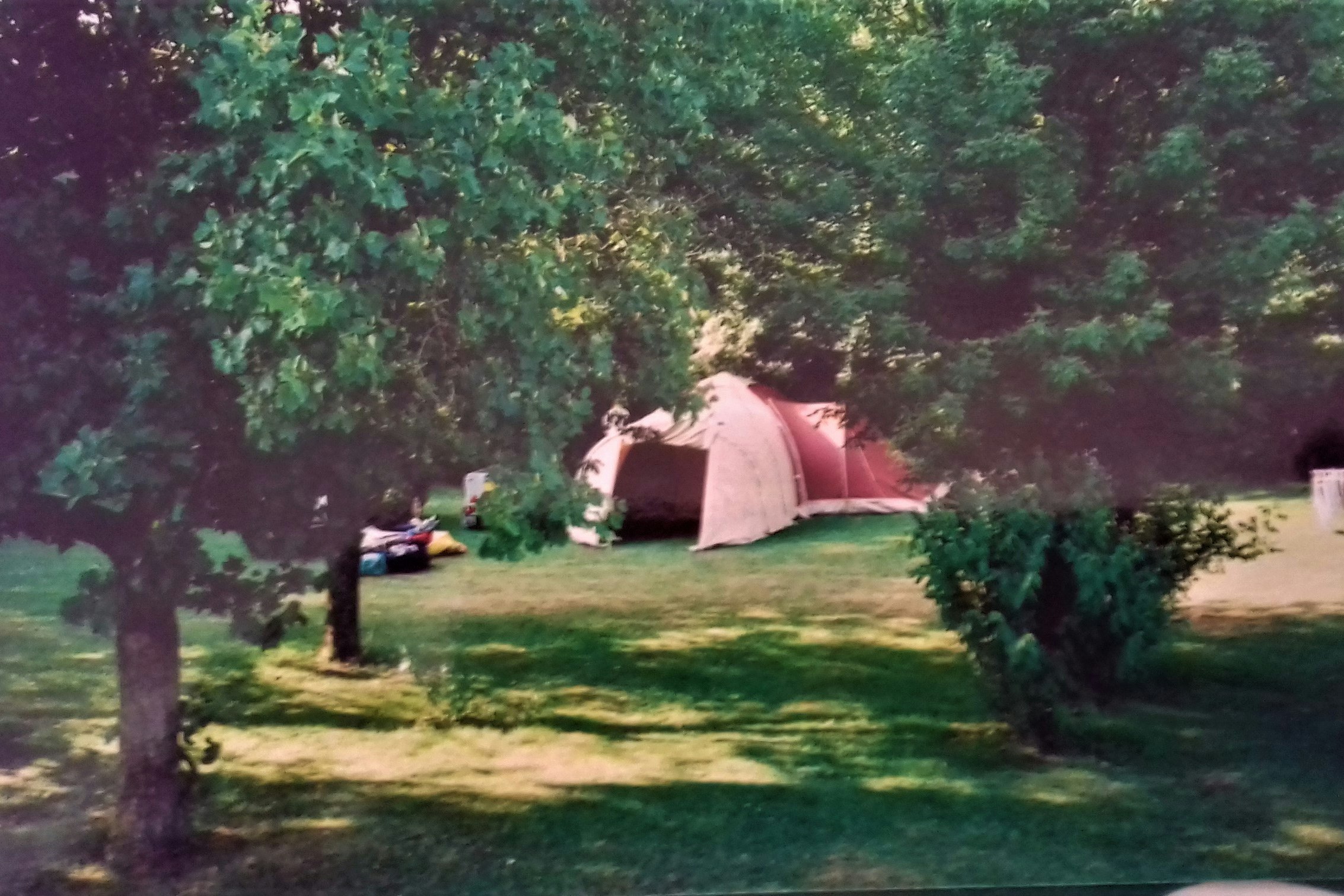 Zelt auf einer grünen Wiese im Campingbereich, umgeben von Bäumen und Sträuchern, mit Sitzbank und Tisch in der Nähe.