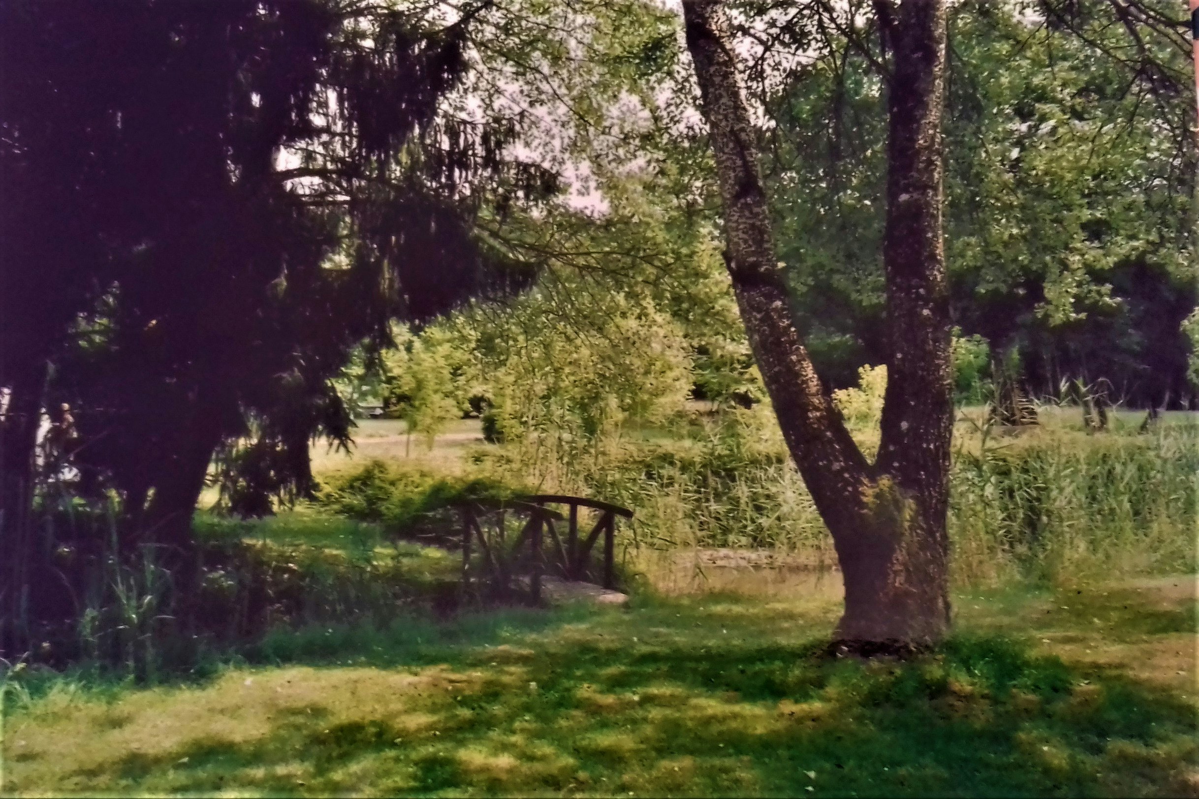 Grüner Campingplatz mit Rasen, großen Bäumen und einem Holzzaun; im Hintergrund ein Weg und weitere Bäume.