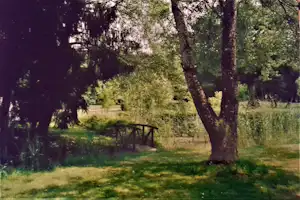 Grüner Campingplatz mit Rasen, großen Bäumen und einem Holzzaun; im Hintergrund ein Weg und weitere Bäume.