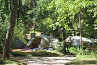 Camping La Tuque - Zeltplätze zwischen den Bäumen