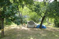 Camping La Turelure - Zelt auf Zelwiese unter Bäumen