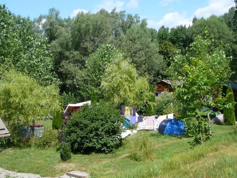 Zelte auf einem Campingplatz im Grünen zwischen Bäumen und Sträuchern, mit Wäscheleine und Rasenfläche.