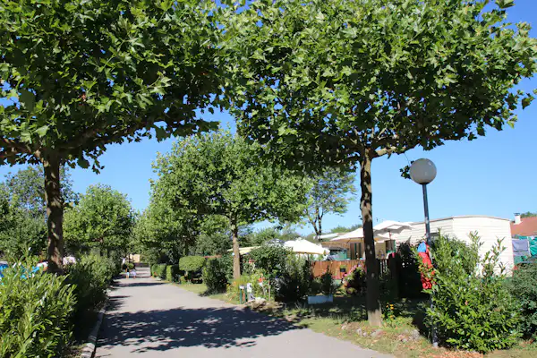 Camping La Vallée Bleue (Montalieu-Vercieu)