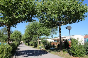 Camping La Vallée Bleue - Mobilheime und Zeltplatz vom Campingplatz zwischen Bäumen