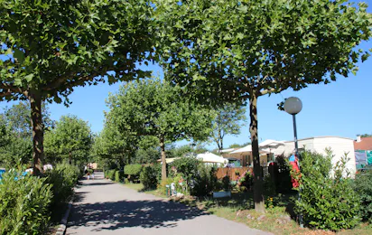 Camping La Vallée Bleue (Montalieu-Vercieu)