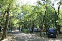 Camping La Vallée Bleue  -  Wohnwagen- und Zeltstellplatz vom Campingplatz im Schatten von Bäumen