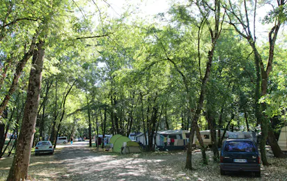 Camping La Vallée Bleue (Montalieu-Vercieu)