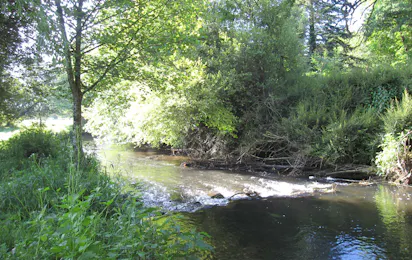 Camping La Vallée du Ninian