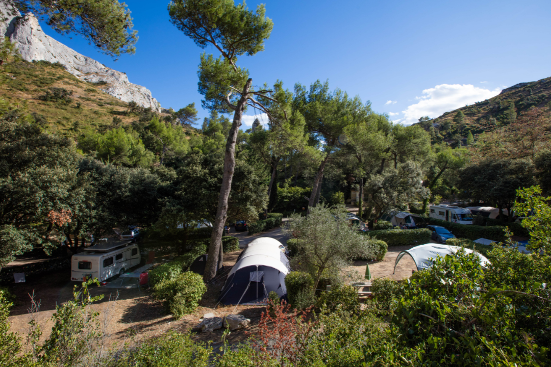 Zelte auf einem Campingplatz im Grünen zwischen hohen Bäumen, mit Blick auf Berge und einen blauen Himmel.