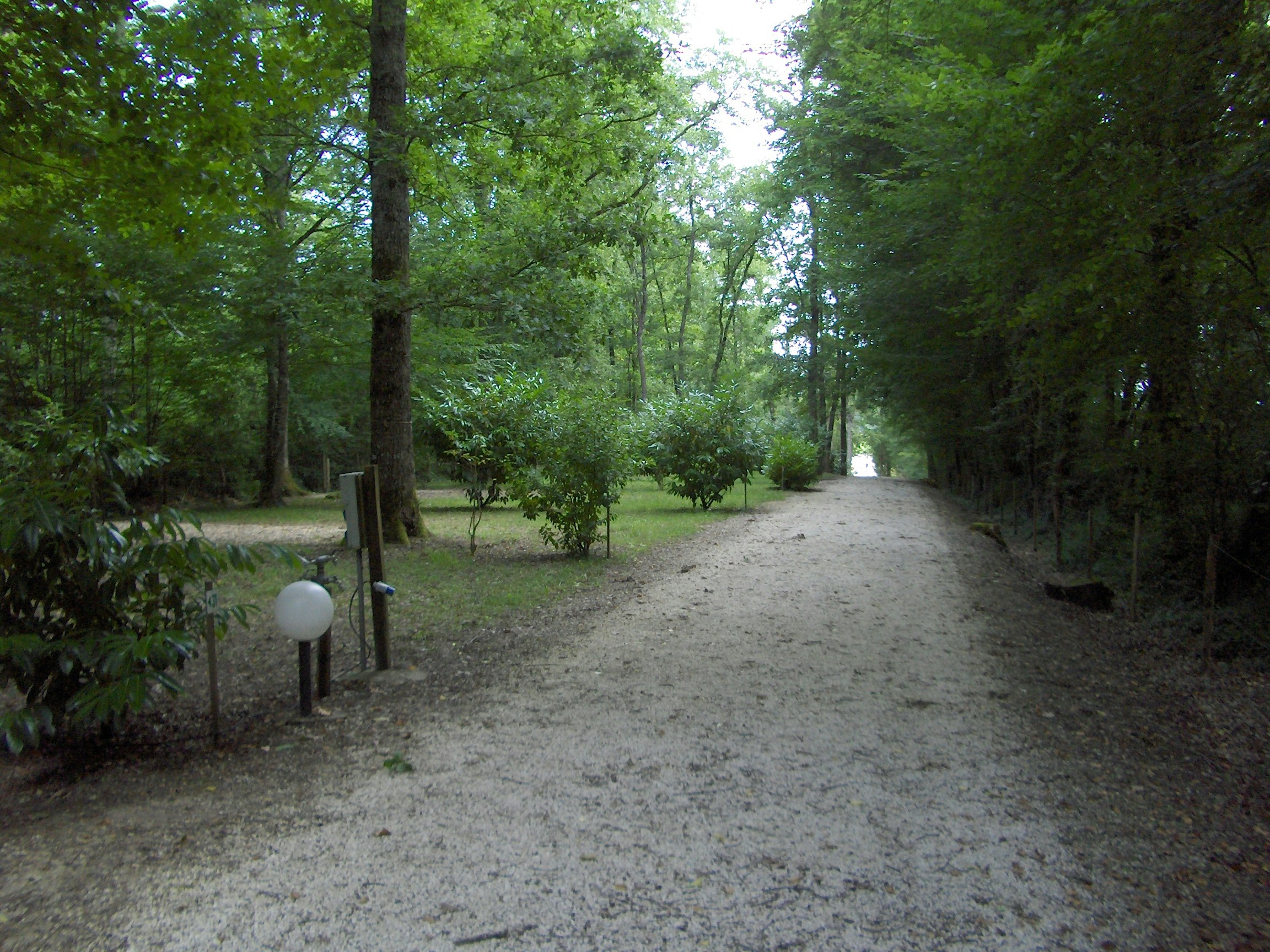 Schotterweg im Wald mit Bäumen und Sträuchern, links ein niedriger Rand und rechts dichter Bewuchs am Campingplatz.