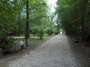 Schotterweg im Wald mit Bäumen und Sträuchern, links ein niedriger Rand und rechts dichter Bewuchs am Campingplatz.