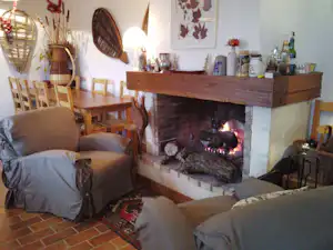 Wohnzimmer mit Kamin, Sofa und Sesseln, Holztisch und Deko auf dem Kaminbrett, Teppich und Zierpflanzen im Hintergrund.