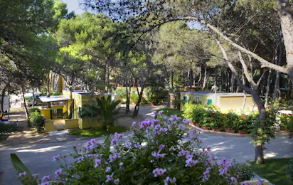 Camping La Vecchia Torre