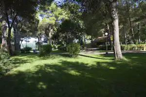 Camping La Vecchia Torre - Stellplatz vom Campingplatz zwischen Bäumen auf grüner Wiese