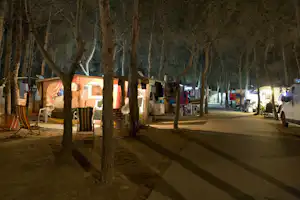 Camping La Vecchia Torre - Wohnwagen- und Zeltstellplatz vom Campingplatz zwischen Bäumen am Abend