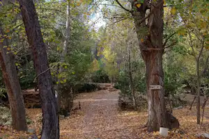 Camping La Venta De Contreras - Camping im Wald