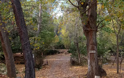 Camping Contreras-Río Cabriel