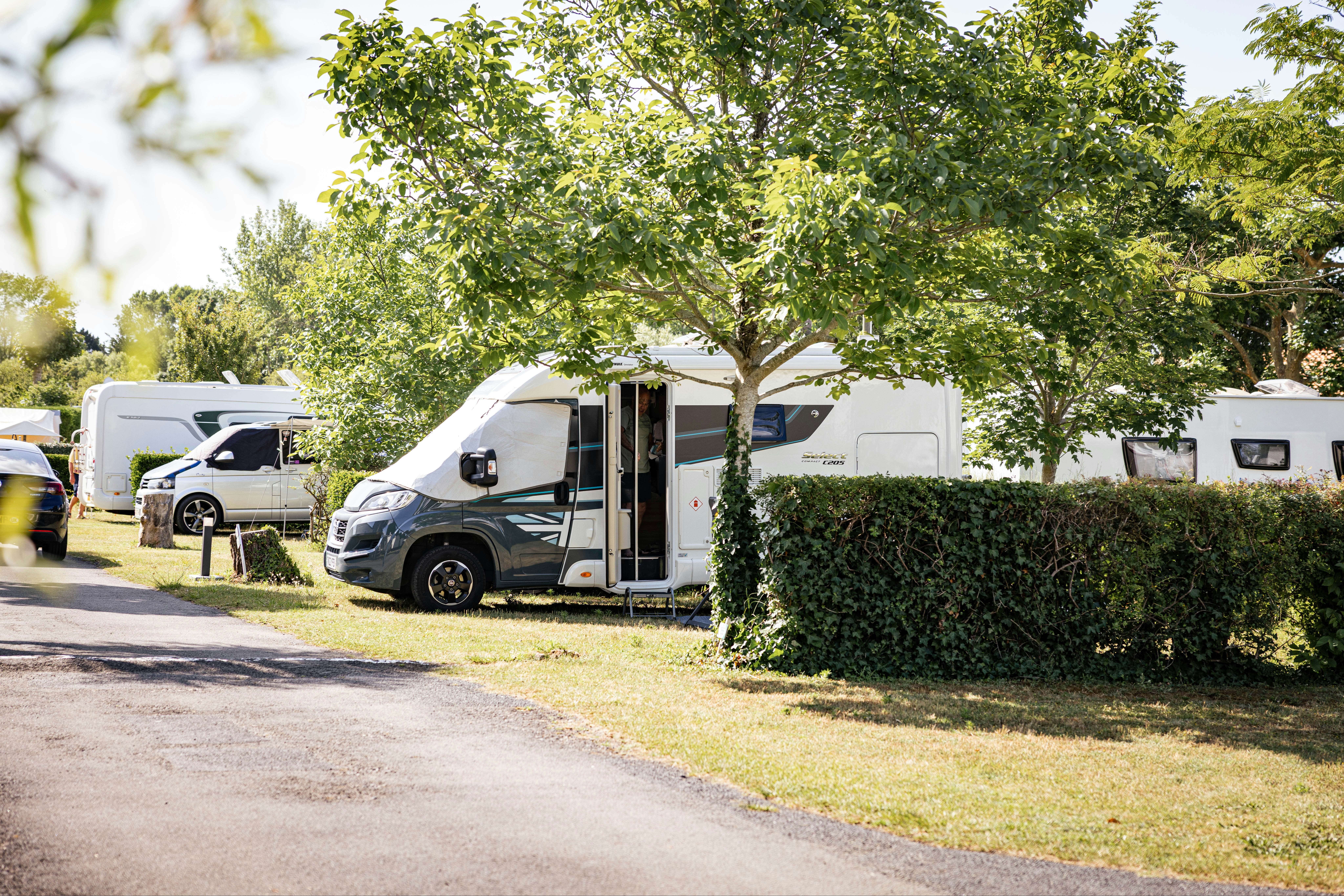 Camping La Yole - Standplätze im Grünen auf dem Campingplatz