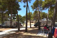 Camping Labadusa  -  Wohnwagen und Wohnmobile auf dem Stellplatz vom Campingplatz