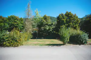 Einfahrt am Campingplatz mit gepflastertem Weg, Büschen und hohen Bäumen am Rand, dahinter grüner Wald.