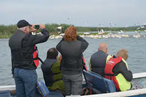 Boot mit Campinggästen auf dem Wasser, eine Person hält die Angel, Möwen fliegen über dem See.