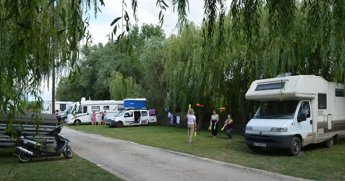 Sind Hunde auf Camping Lac Murighiol erlaubt? photo 5
