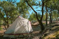 Camping Ladouceur - Zeltplatz im Schatten der Bäume