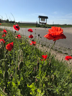 Camping Lagewald