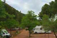 Camping Lago Resort  -  Stellplatz vom Campingplatz zwischen Bäumen