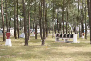 Campingplatz im Wald mit vielen Bäumen und mehreren Stellplätzen mit weißen Umrandungen und Sitzgelegenheiten.