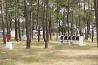 Camping Lagoa de Santo André - öffentliche Grillstellen auf dem Campingplatz zwischen Bäumen