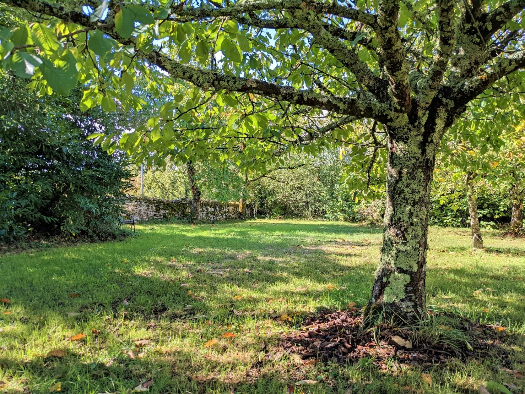 Camping Lagoudalie