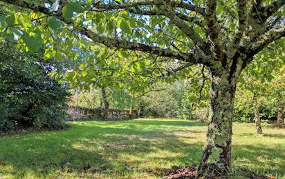 Camping Lagoudalie