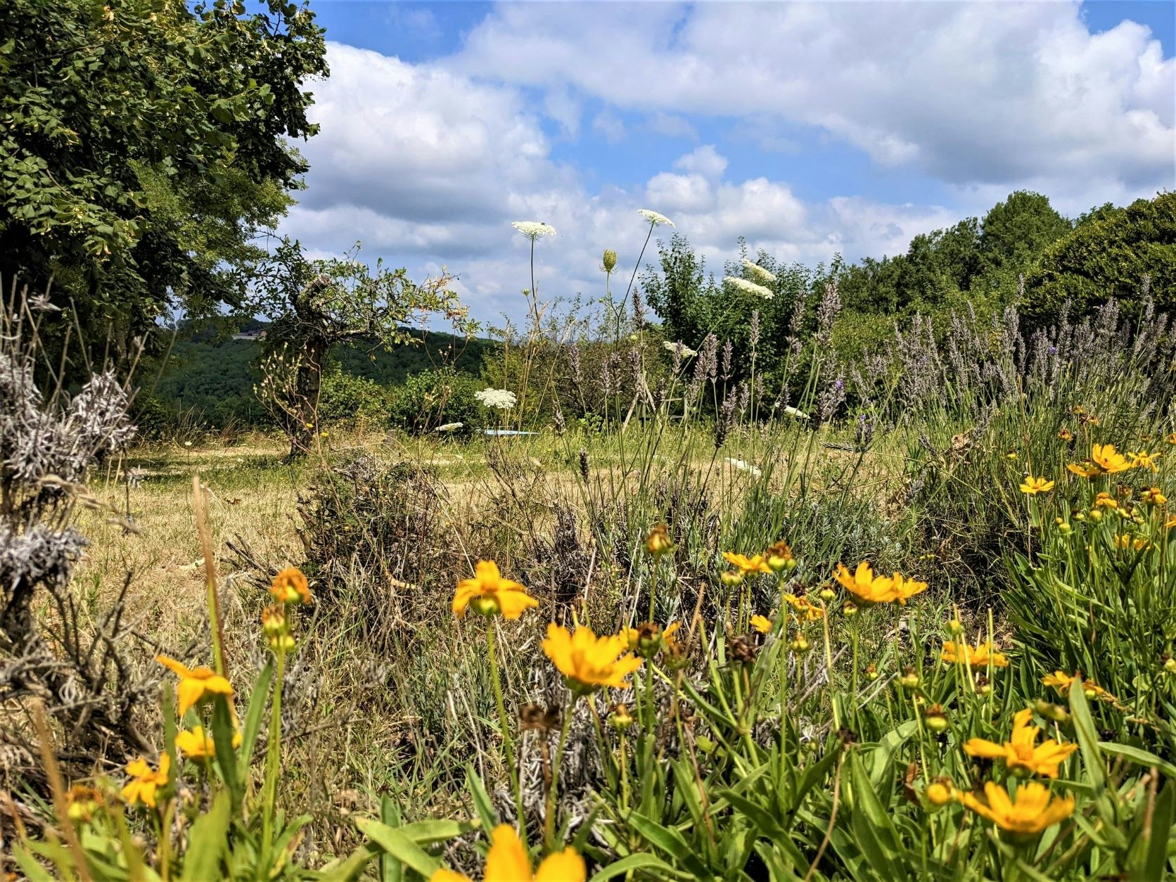 Camping Lagoudalie
