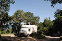 Camping Laguna & Villas Resort - Wohnmobil- und  Wohnwagenstellplätze im Schatten der Bäume auf dem Campingplatz