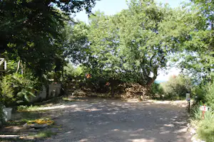 Schotterweg auf einem Campingplatz, umgeben von Bäumen und Sträuchern, mit Steinumrandung und Nummernschild 115.