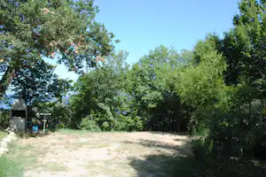 Feuerstelle am Campingplatz in einer Lichtung, umgeben von dichtem Wald und Grasfläche.