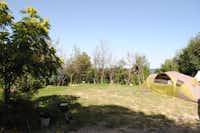 Camping Laguna & Villas Resort - Zeltplätze  auf der Wiese auf dem Campingplatz