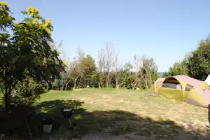 Camping Laguna & Villas Resort - Zeltplätze auf der Wiese auf dem Campingplatz