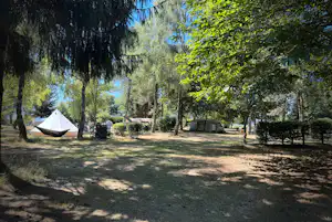 Domaine de Lallé - Standplätze auf dem Campingplatz