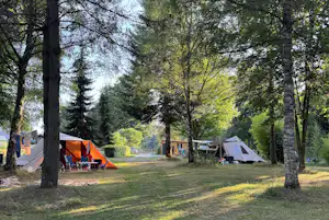 Domaine de Lallé - Wohnmobil- und Wohnwagenstandplätze auf der Wiese
