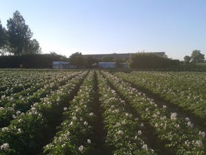 Camping Lambrechtshoeve