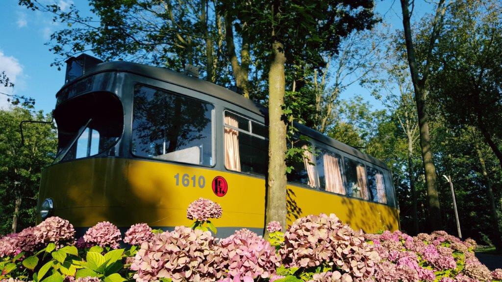 Camping Land Uit Zee